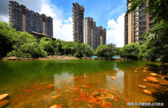 溪老虎樾的利用率